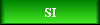  SI 